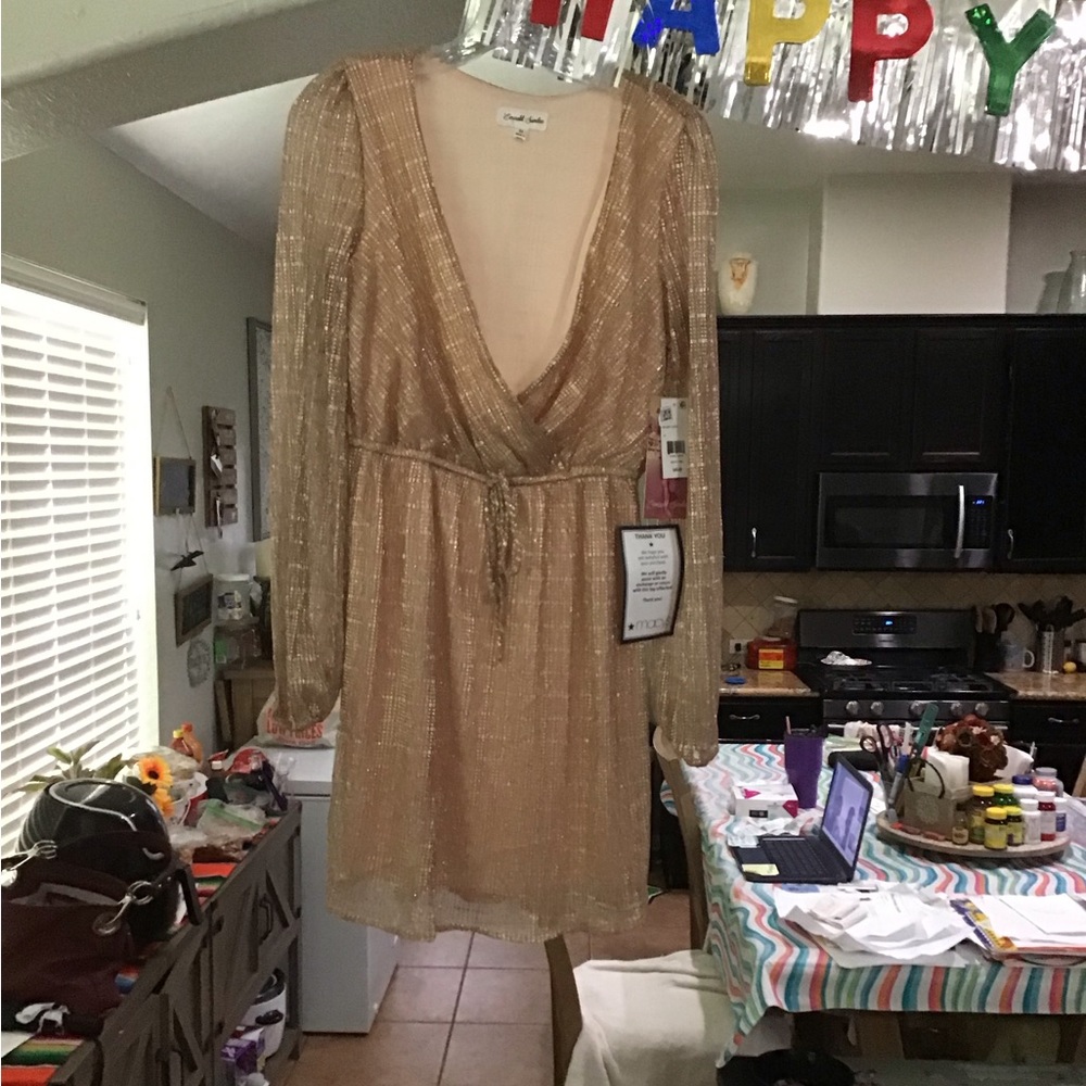 Rose Gold Long Sleeve Dress Size M